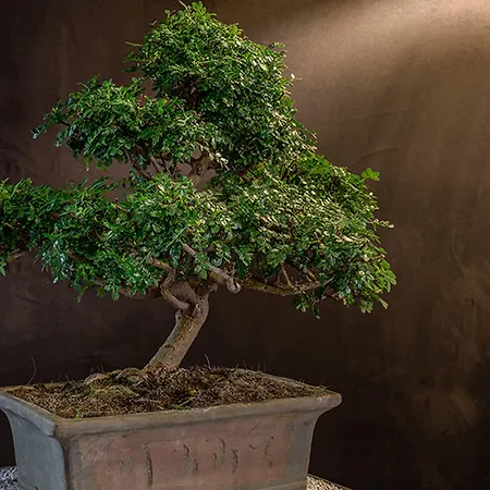 Armoni Ξενοδοχείο